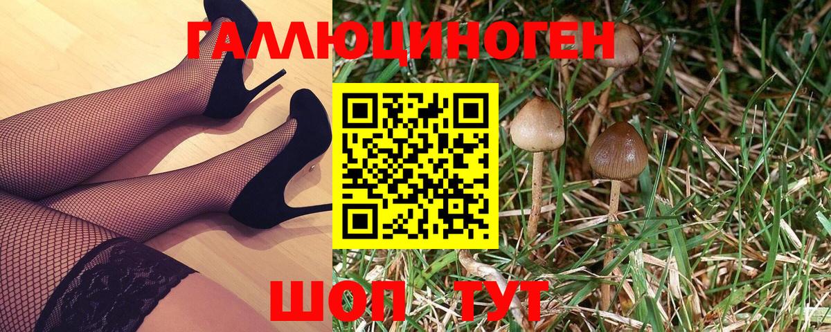Псилоцибиновые грибы мицелий Всеволожск