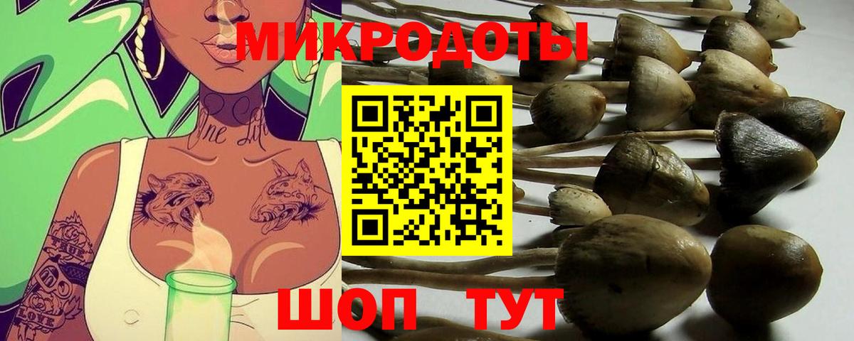 Всеволожск  Галлюциногенные грибы ЛСД  Вход с VPN 
